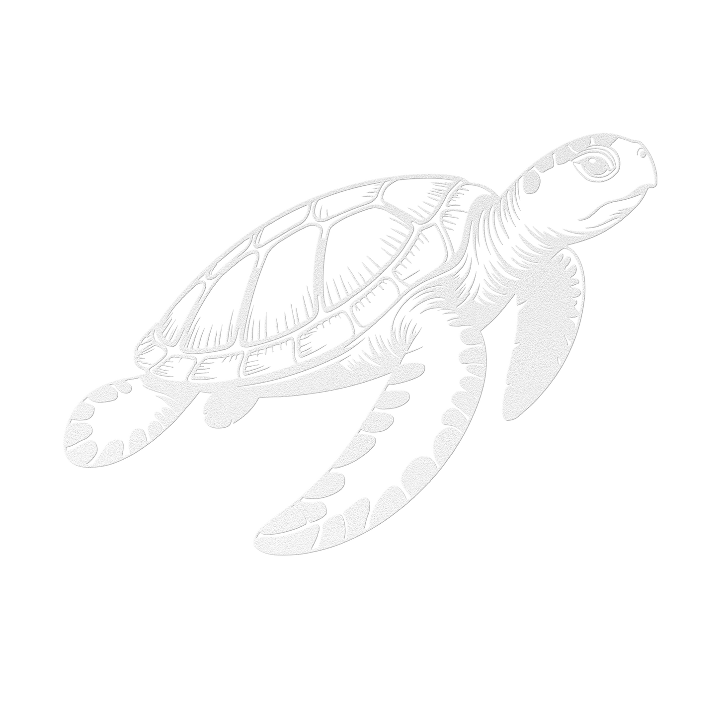 Sea_Turtle_Metal_Sign_White_Transparent_Mockup.png_15729233