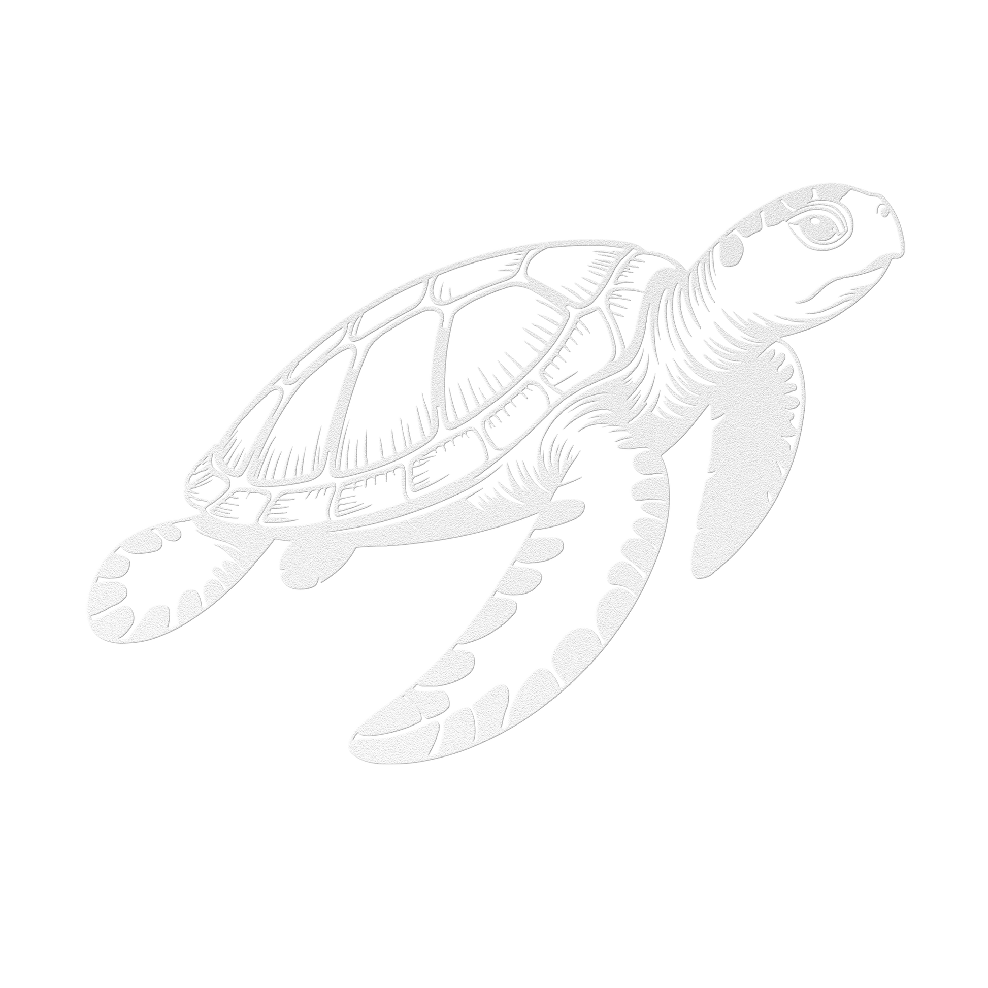 Sea_Turtle_Metal_Sign_White_Transparent_Mockup.png_15729233